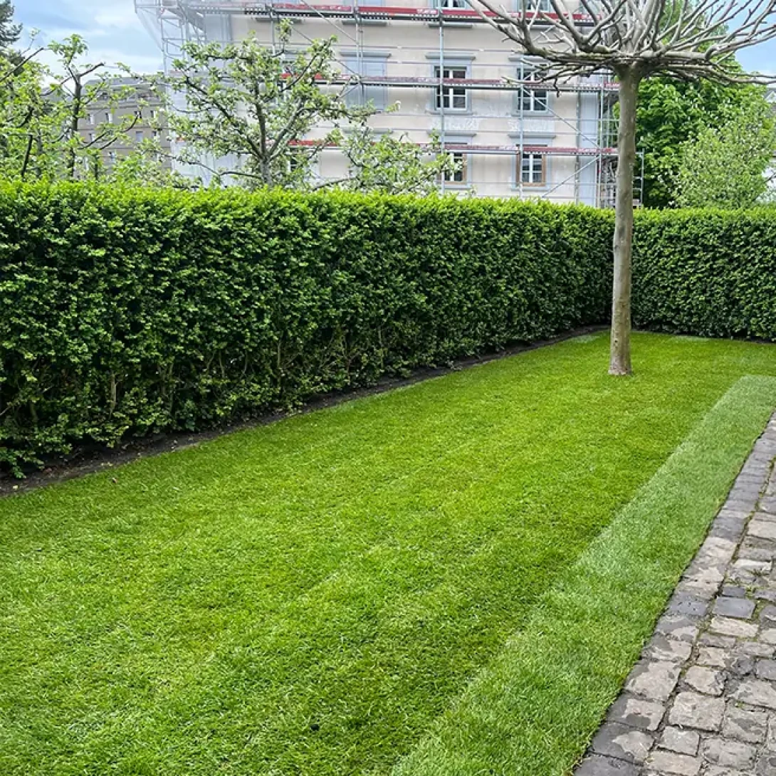 Hecken- und Baumschnitt