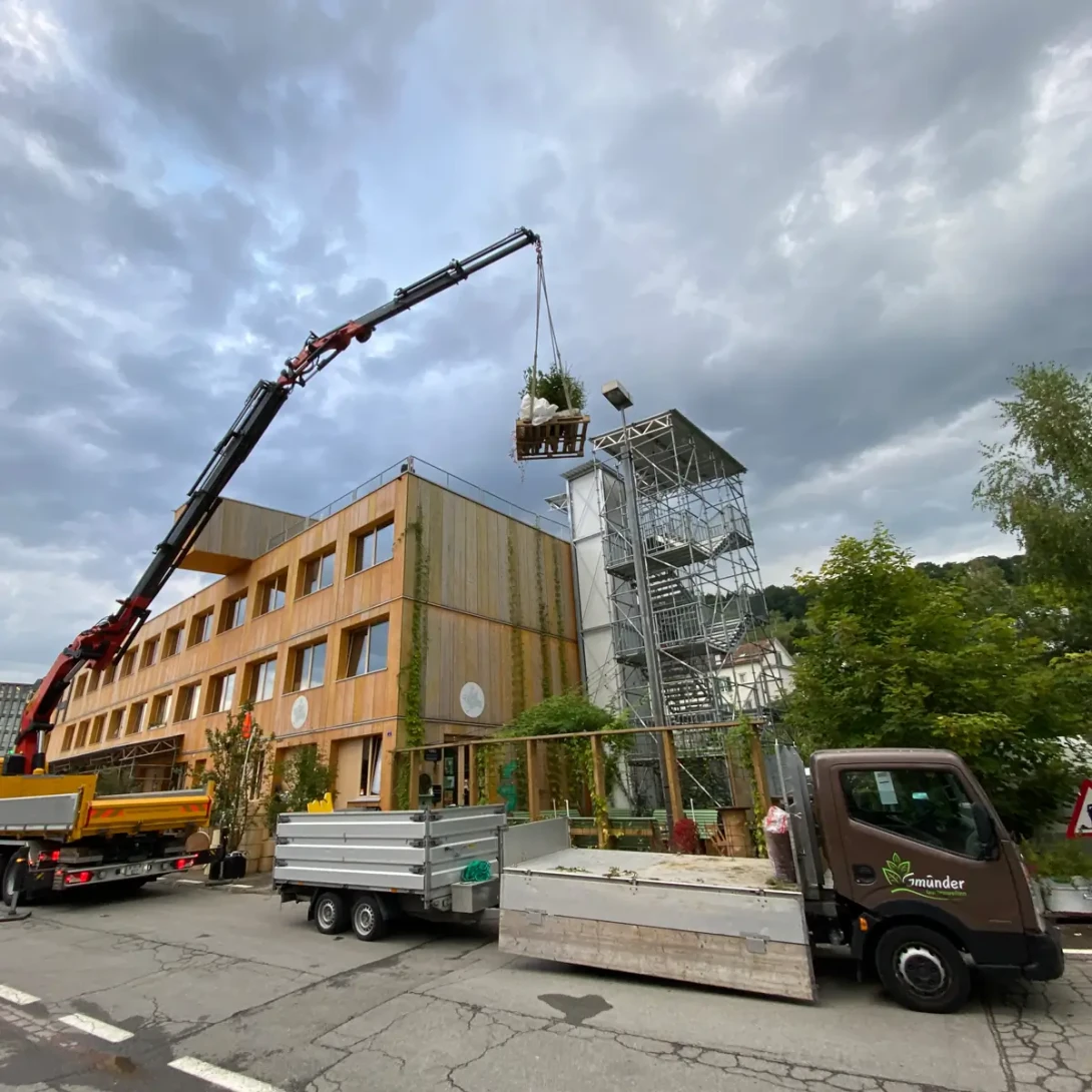 Bepflanzung