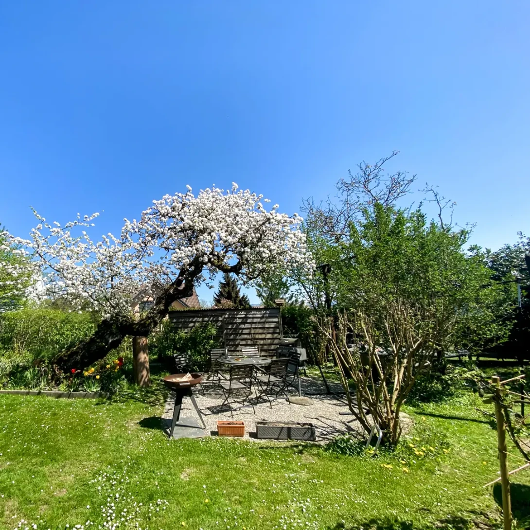 Naturgarten